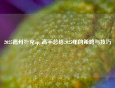 2025德州扑克app高手总结2025年的策略与技巧