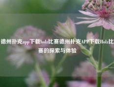 德州扑克app下载holz比赛德州扑克APP下载Holz比赛的探索与体验