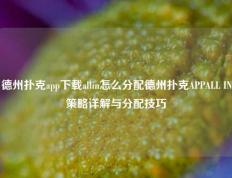 德州扑克app下载allin怎么分配德州扑克APPALL IN策略详解与分配技巧