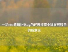 一花2025德州扑克app的代理探索全球在线娱乐的新潮流