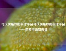 可以买角球的买球平台可以买角球的买球平台——探索市场新选择