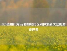 2025德州扑克app和加勒比区别探索新大陆的游戏世界