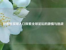 世界杯买球入口探索全球足坛的激情与挑战