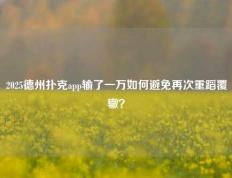2025德州扑克app输了一万如何避免再次重蹈覆辙？