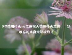 2025德州扑克app之夜被关德州扑克之夜，一场难忘的盛宴突然被终止