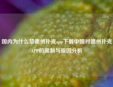 国内为什么禁德州扑克app下载中国对德州扑克APP的限制与原因分析