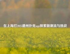 在上海打2025德州扑克app探索新潮流与挑战