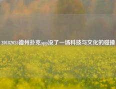 20182025德州扑克app没了一场科技与文化的碰撞