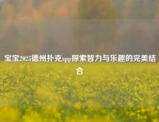 宝宝2025德州扑克app探索智力与乐趣的完美结合