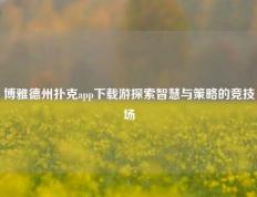 博雅德州扑克app下载游探索智慧与策略的竞技场