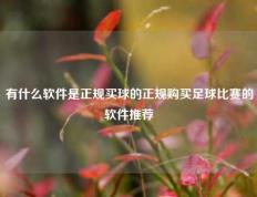 有什么软件是正规买球的正规购买足球比赛的软件推荐