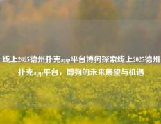 线上2025德州扑克app平台博狗探索线上2025德州扑克app平台，博狗的未来展望与机遇
