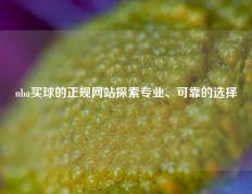 nba买球的正规网站探索专业、可靠的选择