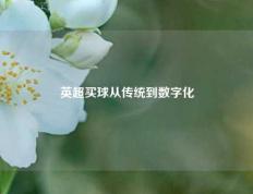 英超买球从传统到数字化