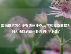 海南麻将怎么没有德州扑克app下载海南麻将为何无法找到德州扑克的APP下载？