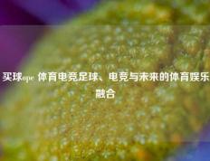 买球ope 体育电竞足球、电竞与未来的体育娱乐融合