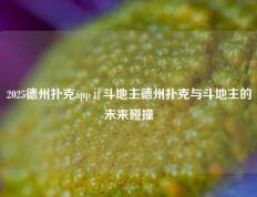 2025德州扑克appⅱ斗地主德州扑克与斗地主的未来碰撞