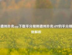 德州扑克app下载平分规则德州扑克APP的平分规则解析