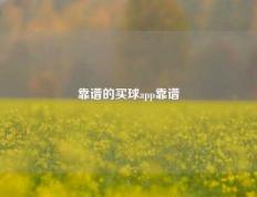 靠谱的买球app靠谱