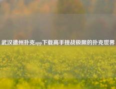 武汉德州扑克app下载高手挑战极限的扑克世界