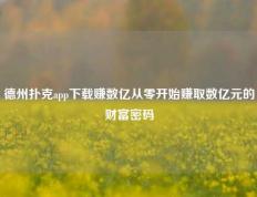 德州扑克app下载赚数亿从零开始赚取数亿元的财富密码
