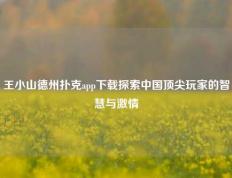 王小山德州扑克app下载探索中国顶尖玩家的智慧与激情