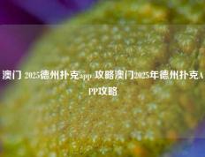 澳门 2025德州扑克app 攻略澳门2025年德州扑克APP攻略