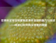 世界杯足球买球聚焦世界杯足球的魅力与挑战——球迷们如何购买球票的攻略