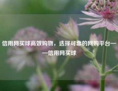 信用网买球高效购物，选择可靠的网购平台——信用网买球