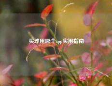 买球用哪个app实用指南