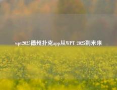 wpt2025德州扑克app从WPT 2025到未来