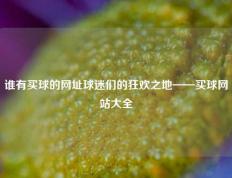 谁有买球的网址球迷们的狂欢之地——买球网站大全