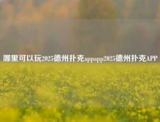 哪里可以玩2025德州扑克appapp2025德州扑克APP