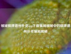 领域棋牌德州扑克app下载骗局领域中的棋牌德州扑克骗局揭秘