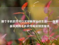 哪个手机软件可以买球畅享运动生活——探索最实用的手机软件购买球类服务