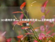 2025德州扑克app上风期德州扑克App上的巅峰时刻