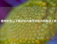 德州扑克app下载记忆力提升记忆力的高效工具