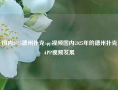国内2025德州扑克app视频国内2025年的德州扑克APP视频发展