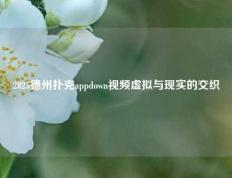 2025德州扑克appdown视频虚拟与现实的交织