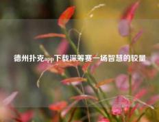 德州扑克app下载深筹赛一场智慧的较量