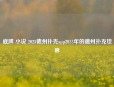 底牌 小说 2025德州扑克app2025年的德州扑克世界