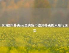 2025德州扑克app真实货币德州扑克的未来与现实