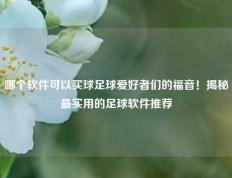 哪个软件可以买球足球爱好者们的福音！揭秘最实用的足球软件推荐