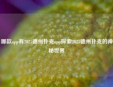 哪款app有2025德州扑克app探索2025德州扑克的神秘世界