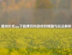 德州扑克app下载牌百科游戏的精髓与玩法解析