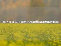 网上买球入口揭秘正规渠道与风险防范指南