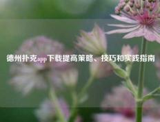 德州扑克app下载提高策略、技巧和实践指南