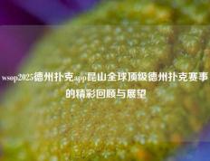 wsop2025德州扑克app昆山全球顶级德州扑克赛事的精彩回顾与展望