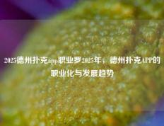 2025德州扑克app职业罗2025年，德州扑克APP的职业化与发展趋势