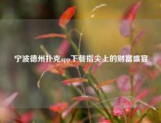 宁波德州扑克app下载指尖上的财富盛宴
